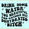Drink some water SVG, Wavy text svg, Funny Quote svg, Adult Humor svg, Funny svg