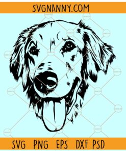 Golden retriever dog face SVG, Goldie Svg, Golden Retriever Svg