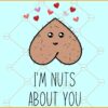 I'm nuts about you ball sack svg, Funny Valentine's Day svg, Valentine's Day quote svg