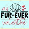 My fur-ever valentine svg, Valentines Dog svg, Pet Valentine's Day svg, Love svg
