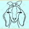 Nubian goat with bandana svg, Goat with Bandana SVG File, Nubian Goat Face SVG