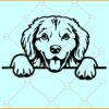 Peeking golden retriever svg, Goldie Svg, Golden Retriever Svg, Peeking Dog Face Svg