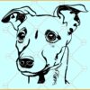 Whippet Dog Face SVG, Whippet svg, dog svg, Whippet silhouette svg