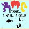 Winnie I smell a child svg, Witch on broom svg, Sanderson sisters svg, Hocus pocus svg