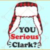 You serious clark svg, Funny Christmas svg, Christmas sign svg, Christmas svg file, Christmas png