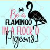 Be a flamingo in a flock of pigeons svg, Flamingo svg, Pink Flamingo svg