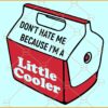 Don't Hate me Because I am a Little Cooler SVG, Funny Humor SVG, Tapestry SVG