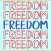 Freedom Stacked SVG, Freedom Svg, USA Freedom SVG, USA Flag svg