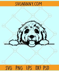 Labradoodle peeking SVG, Labradoodle Dog Face SVG, Labradoodle SVG