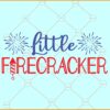 Little Firecracker SVG, American Family Svg, USA Patriotic Svg