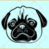 Pug dog head svg, Cute pug head svg, Peeking Dog svg, Dog Svg