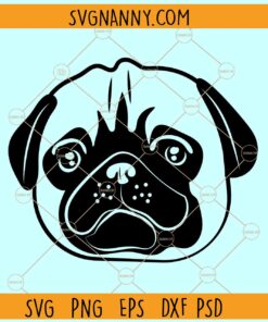 Pug dog head svg, Cute pug head svg, Peeking Dog svg, Dog Svg