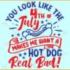 You look like the 4th of July SVG, Patriotic Day SVG, Funny 4th Of July SVG