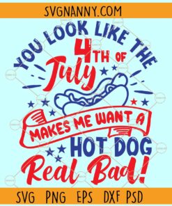 You look like the 4th of July SVG, Patriotic Day SVG, Funny 4th Of July SVG