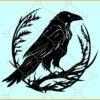 Crow bird SVG, Raven Silhouette SVG, Raven SVG, Crow Clipart SVG