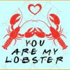 You are My Lobster friends font SVG, Lobster svg, Friends SVG, Valentine svg