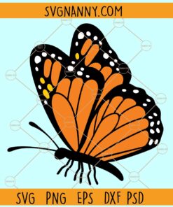 Butterfly clipart svg, Cute Butterfly clipart svg, Colored Butterfly clipart svg, Butterfly Vector SVG