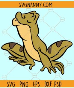 Disney frog princess SVG, Frog Princess Svg, Princess svg