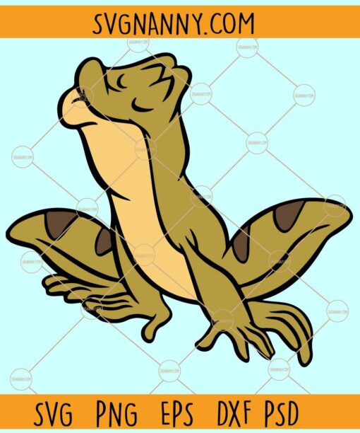 Disney frog princess SVG, Frog Princess Svg, Princess svg