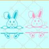 Easter Bunny split monogram SVG, Easter Monogram Svg, Easter Bunny Frame Monogram SVG