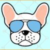 French bulldog head SVG, French Bulldog with glasses SVG, French Bulldog Png