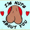 I'm Nuts about You SVG, Funny Valentine SVG, Adult Humor Svg