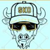 SKO buffalo SVG, Colorado Buffaloes Football SVG, Buffalo Colorado Mascot SVG, Colorado Buffaloes Football SVG