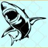 Shark SVG, White Shark Silhouette SVG, Shark Silhouette SVG