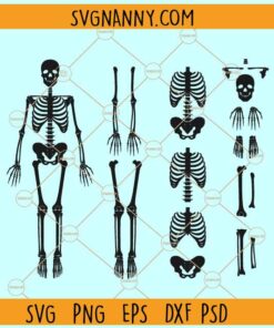 Skeleton Parts SVG, Halloween Skeleton parts SVG, Halloween skeleton svg, skeleton svg