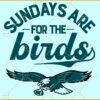 Sundays are for the Birds SVG, Philadelphia Football SVG, Sundays Football SVG