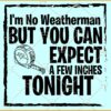 I'm no weatherman but you can expect a few inches tonight SVG, Funny Couples Sayings Svg