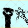 Funny animals peeking svg, peeking ostrich svg, peeking giraffe svg