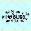 I love bugs SVG, bugs lovers svg, Bugologist svg, fun bugs svg