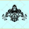 Weight lifting  gorilla svg, Gorilla body builder svg, gorilla gyms svg