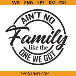 Aint no family like the one we got SVG, family reunion Svg, family shirt SVG