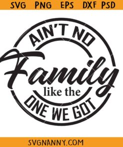 Aint no family like the one we got SVG, family reunion Svg, family shirt SVG
