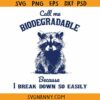 Call me Biodegradable because I break down so easily SVG, raccoon meme svg