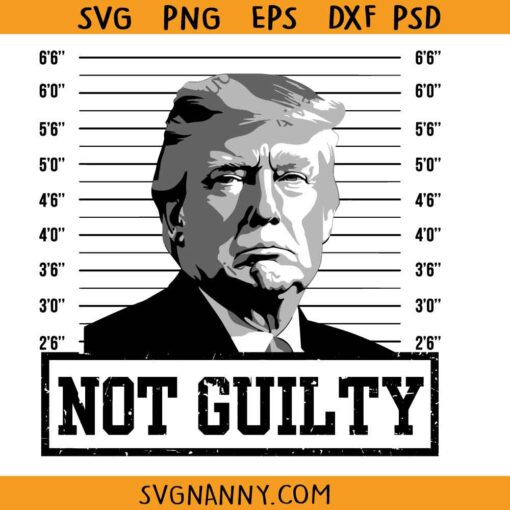 Not guilty Trump svg, Trump Mugshot svg, Pro America Svg, Free Trump Svg, Trump 2024 svg