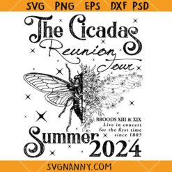 Cicada Concert Tour 2024 svg, Cicada Tour SVG, Cicada Concert SVG, The Cicada Reunion Tour SVG