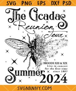 Cicada Concert Tour 2024 svg, Cicada Tour SVG, Cicada Concert SVG, The Cicada Reunion Tour SVG