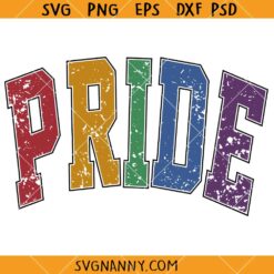 Distressed pride SVG, Grunge Pride SVG, LGBT pride SVG, pride varsity font SVG, guy pride SVG, pride SVG