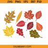 Fall leaves SVG, Maple Leaves SVG, Autumn Leaves SVG, Fall SVG   