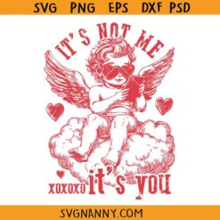 It's Not Me It's You Anti Valentine's Day svg, Single SVG, Funny Valentine SVG, Love svg