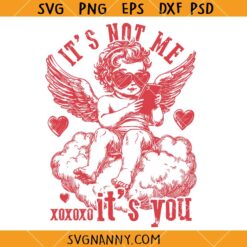 It’s not me it’s you SVG, Cupid SVG, Valentine's Day Svg