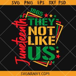 They not like us Juneteenth SVG, Black History SVG, They not like us Black History svg