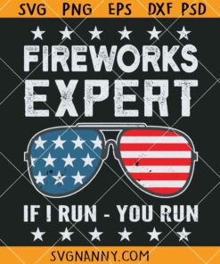 Fireworks Expert If I Run You Run SVG, Funny 4th Of July Svg, Fireworks Svg