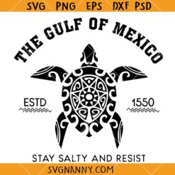 Gulf of Mexico Stay Salty Resist SVG, Resistance Svg, Mexico Resist SVG, Gulf of Mexico Patriotic SVG