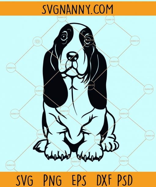 Basset hound sitting dog svg