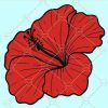 Beautiful hibiscus flower svg