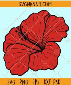 Beautiful hibiscus flower svg